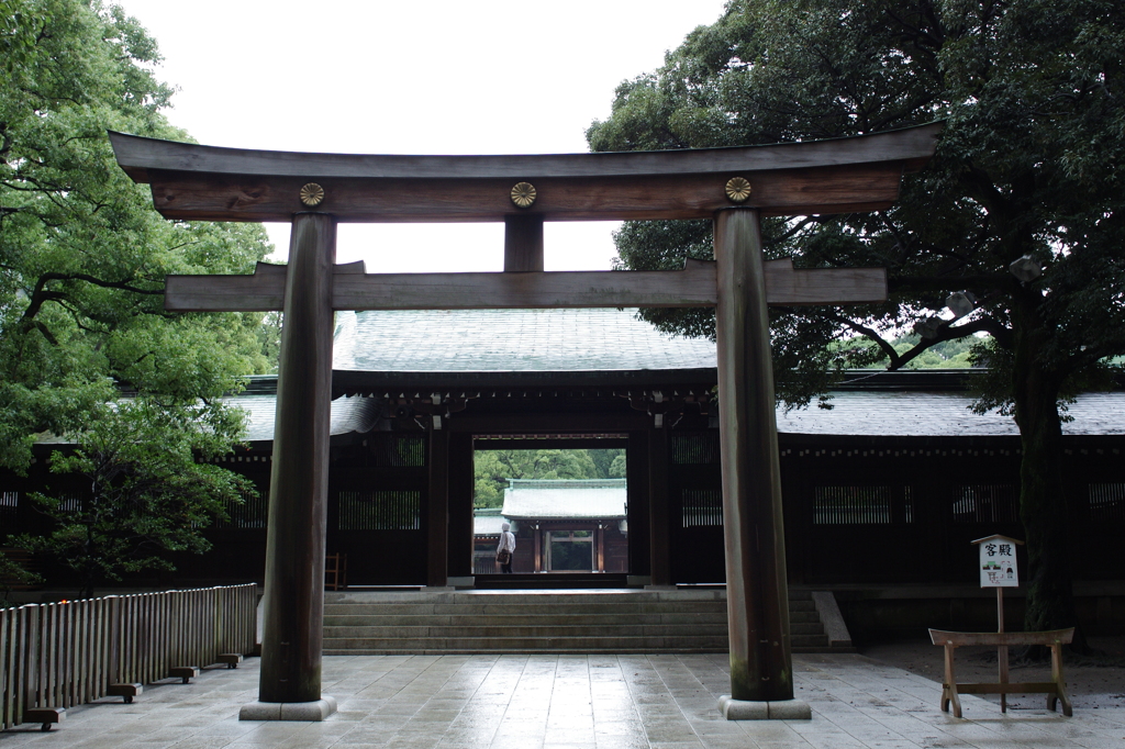 雨の明治神宮③