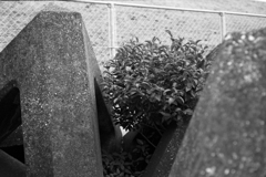 波の音が聞こえる