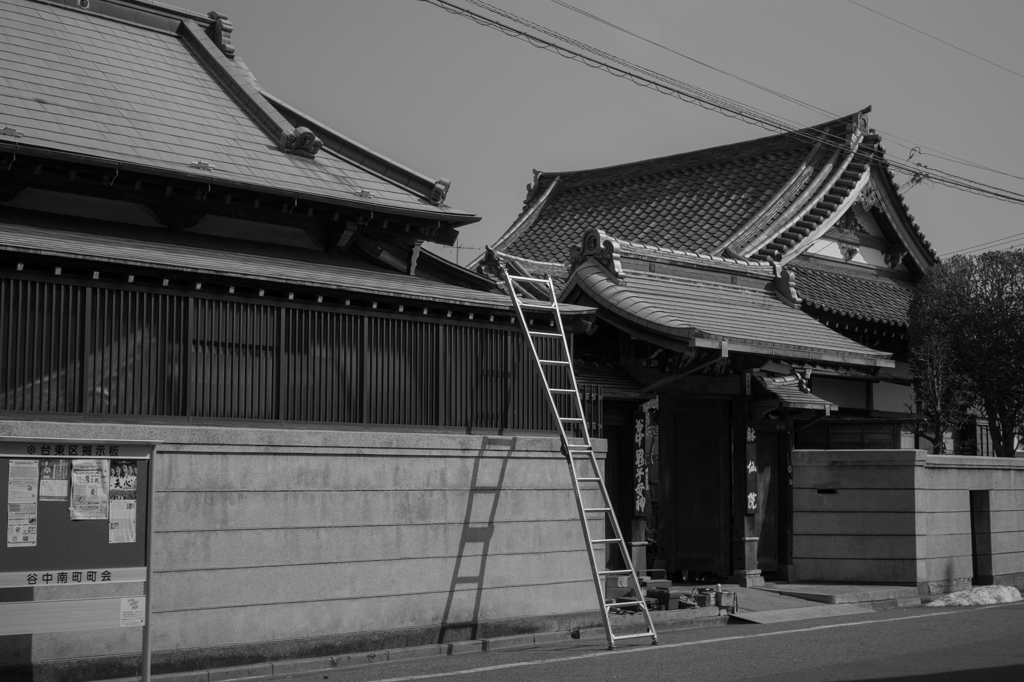 屋根の上