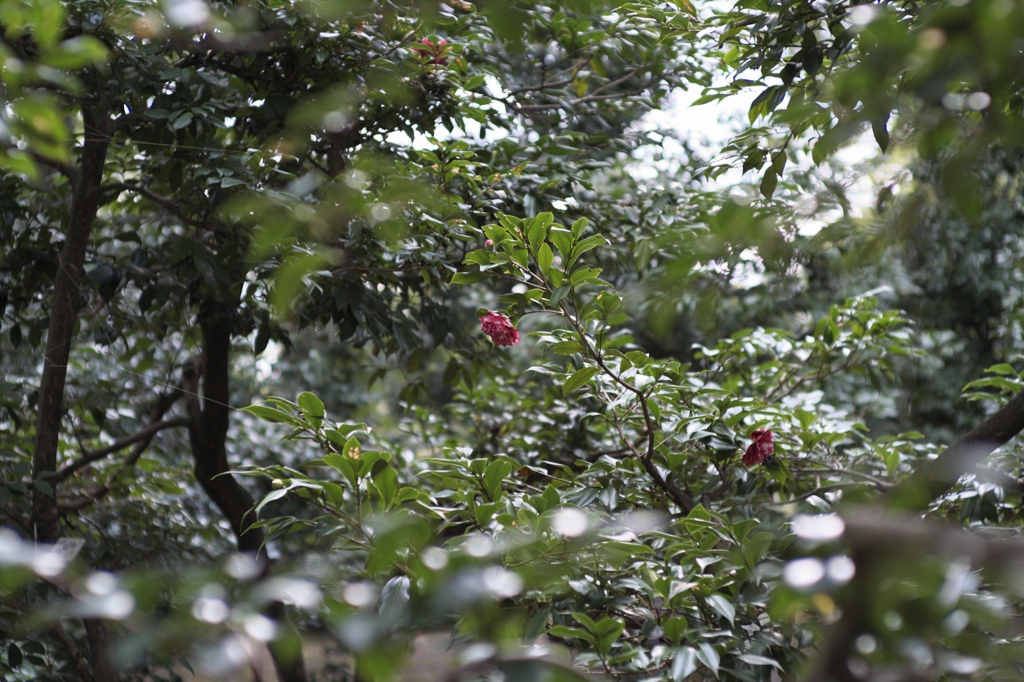 眩暈