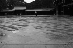 雨の明治神宮④