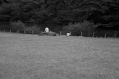 ほとりのふたり