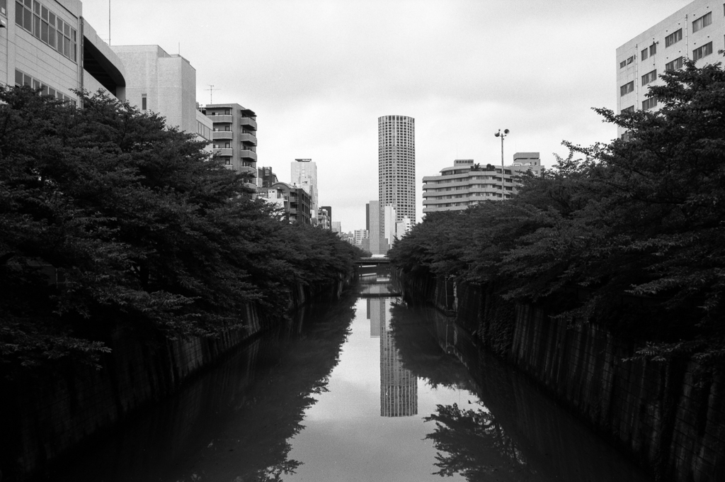 目黒