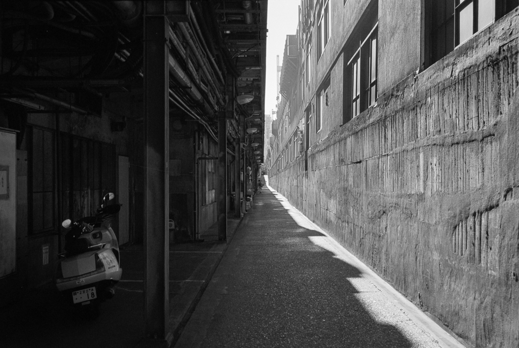 shadow&light