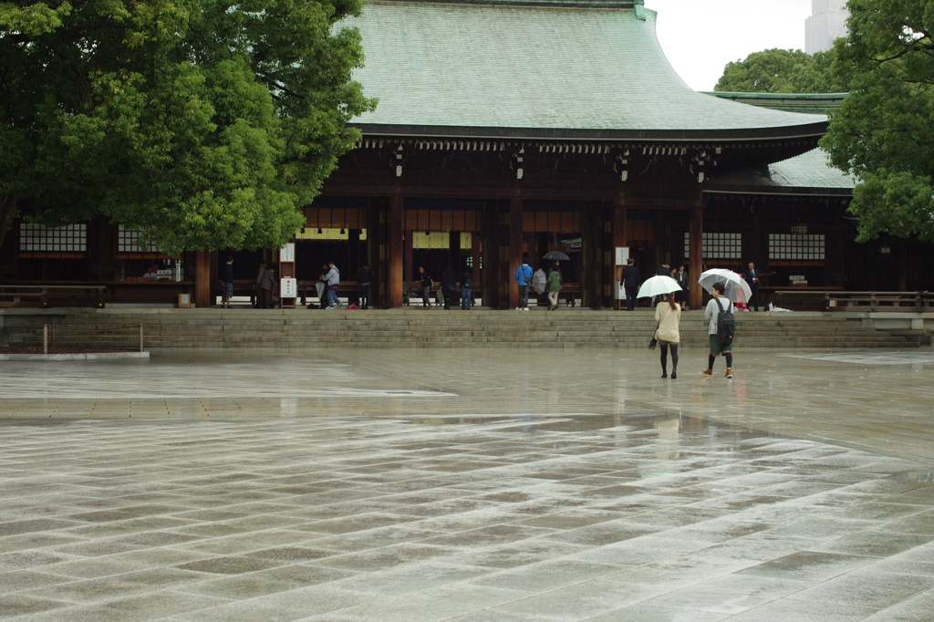 雨の明治神宮⑤