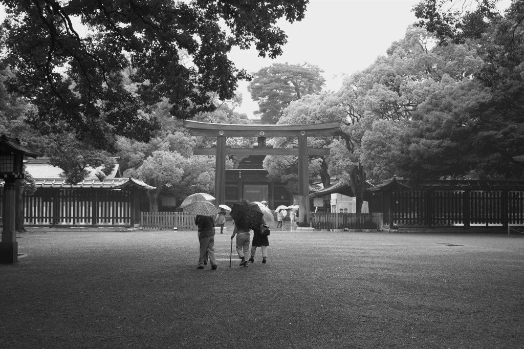 雨煙る