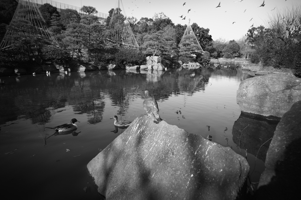 君は飛ばないのか