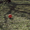 balloon