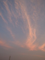 DSCN0788