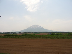 羊蹄山