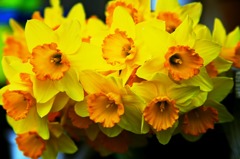 造花の輝き