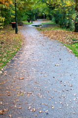 Autumn - 散歩道