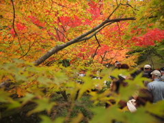 東福寺