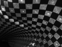 RIMG3851