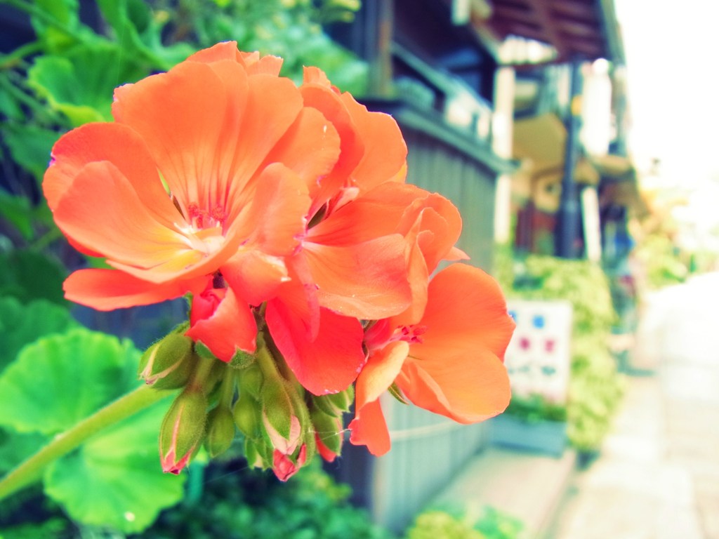 花