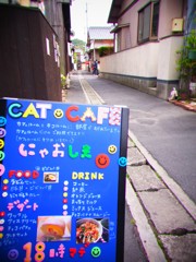 にゃおしまｗ