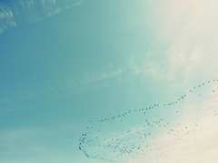 空