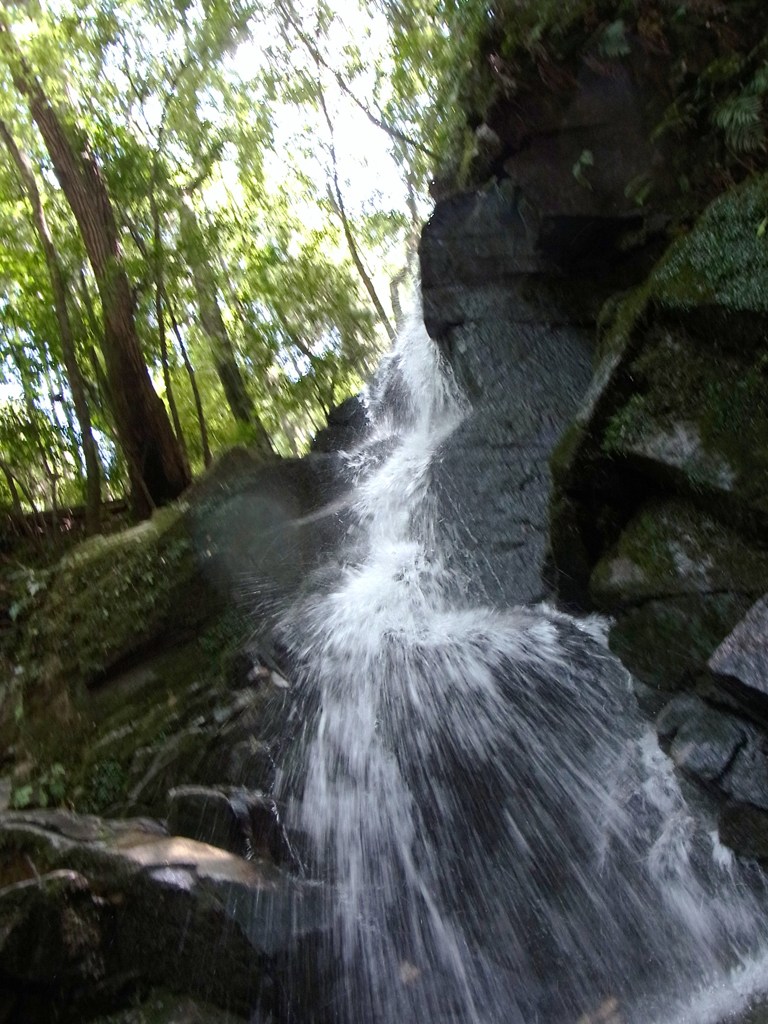 鶯の滝
