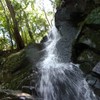 鶯の滝
