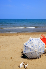 Widow on the beach