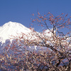 02-3-4-岩本山1