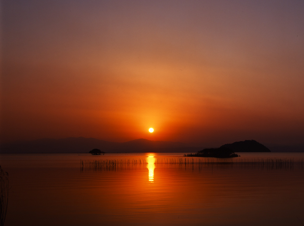99-1-7湖北