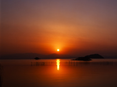 99-1-7湖北