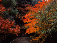 00-11-30-法然院