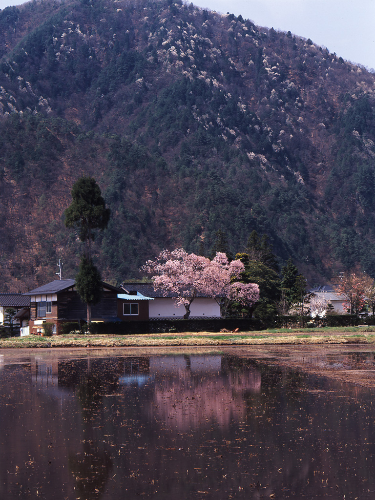 99-5-3大町