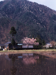 99-5-3大町