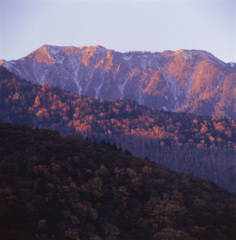 96-10-5大河原峠
