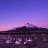 2009-1-162マウント富士