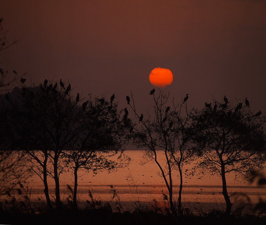 真っ赤な夕日