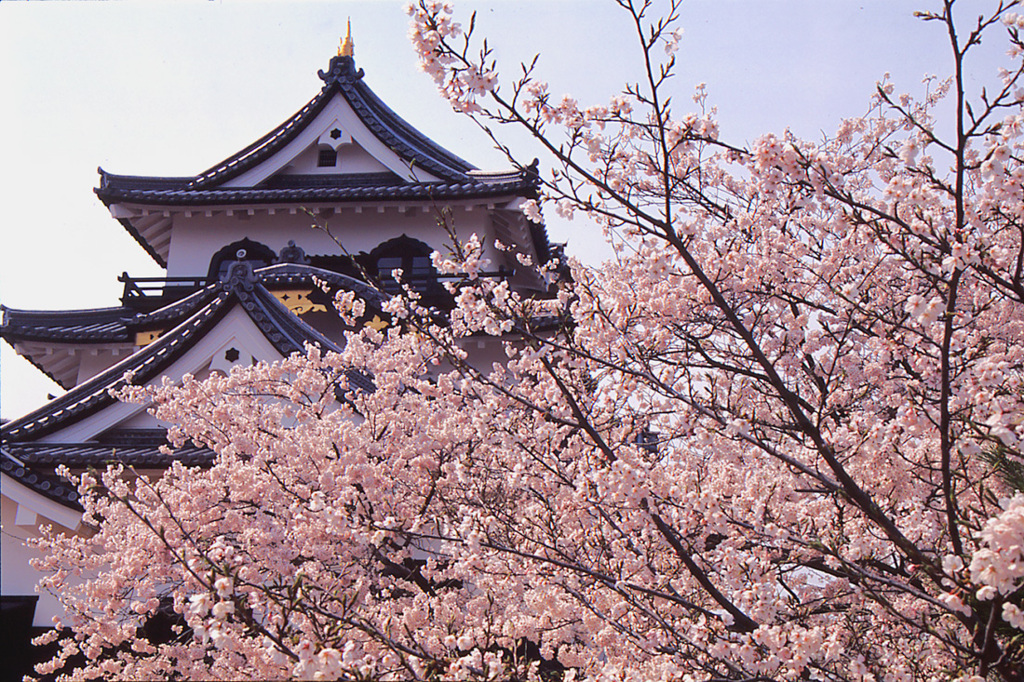 日本の美