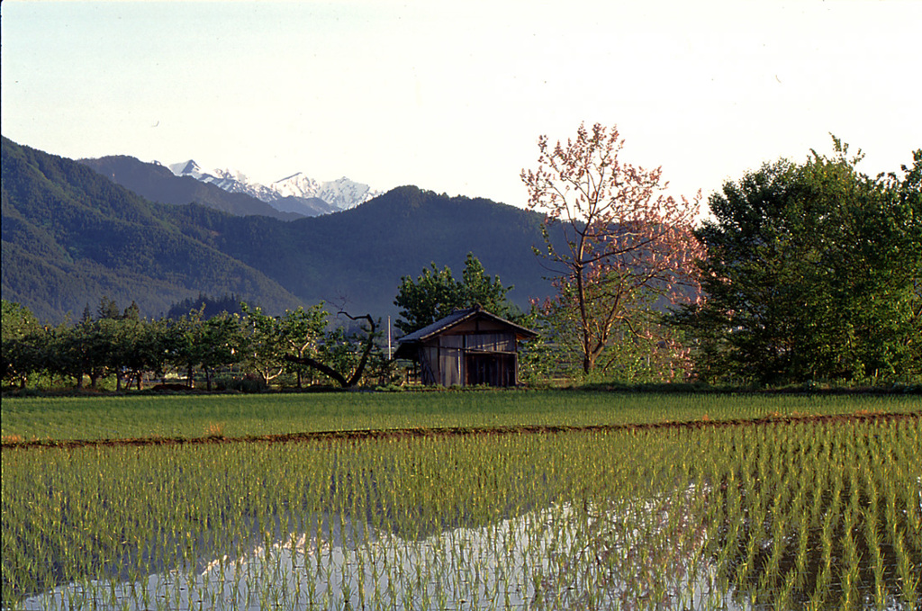 春彩松川村