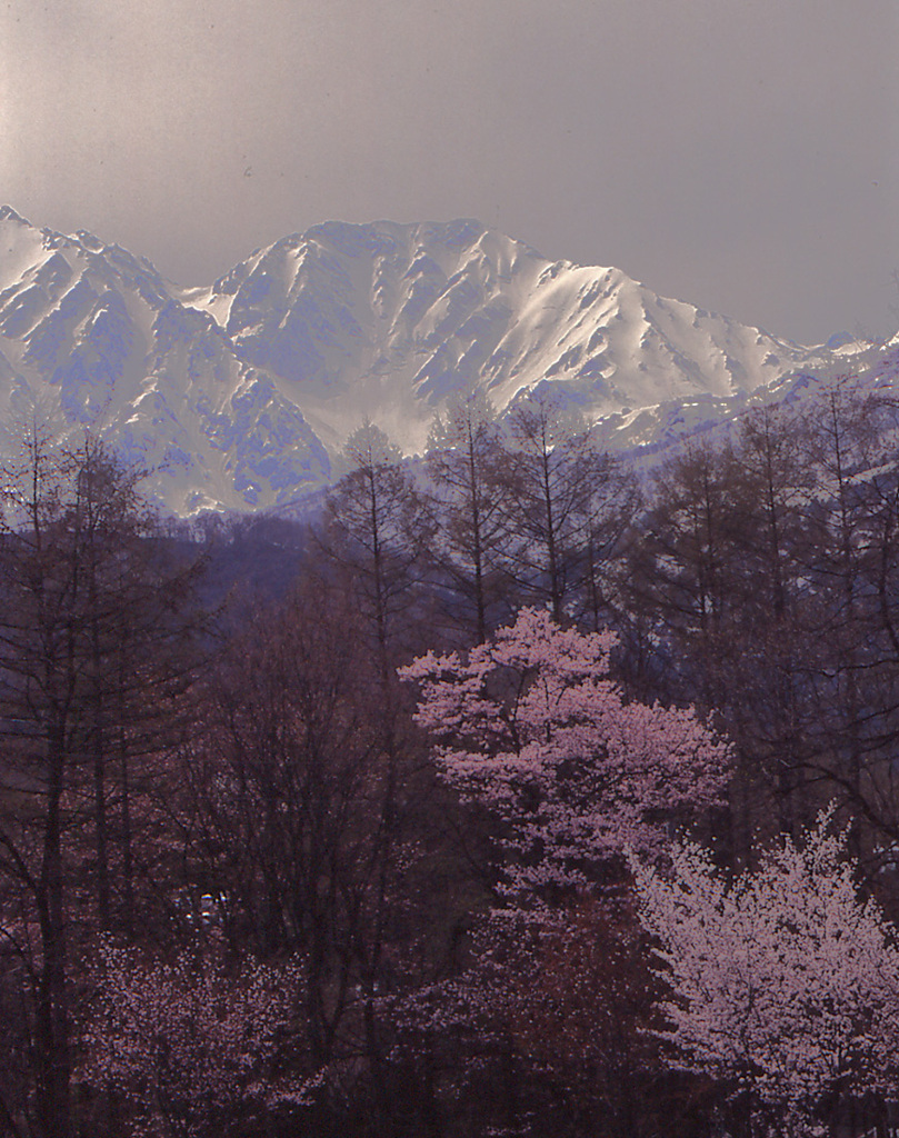早春安曇野