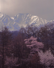 早春安曇野