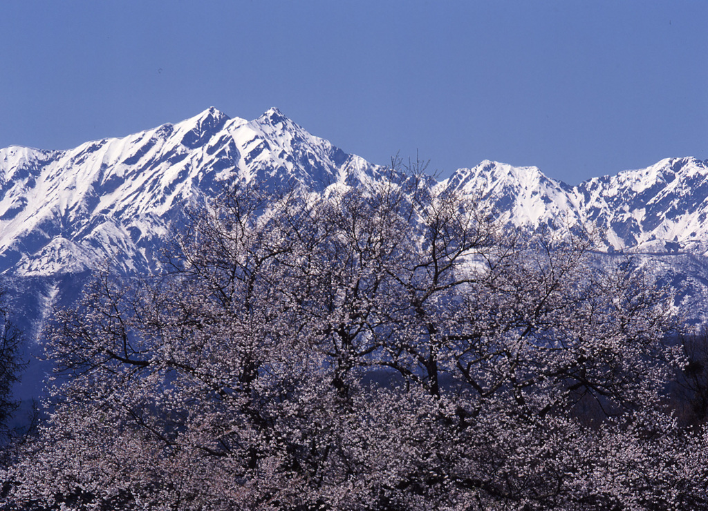 04-4-19-小川村