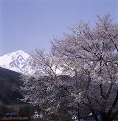 01-5-7-白馬