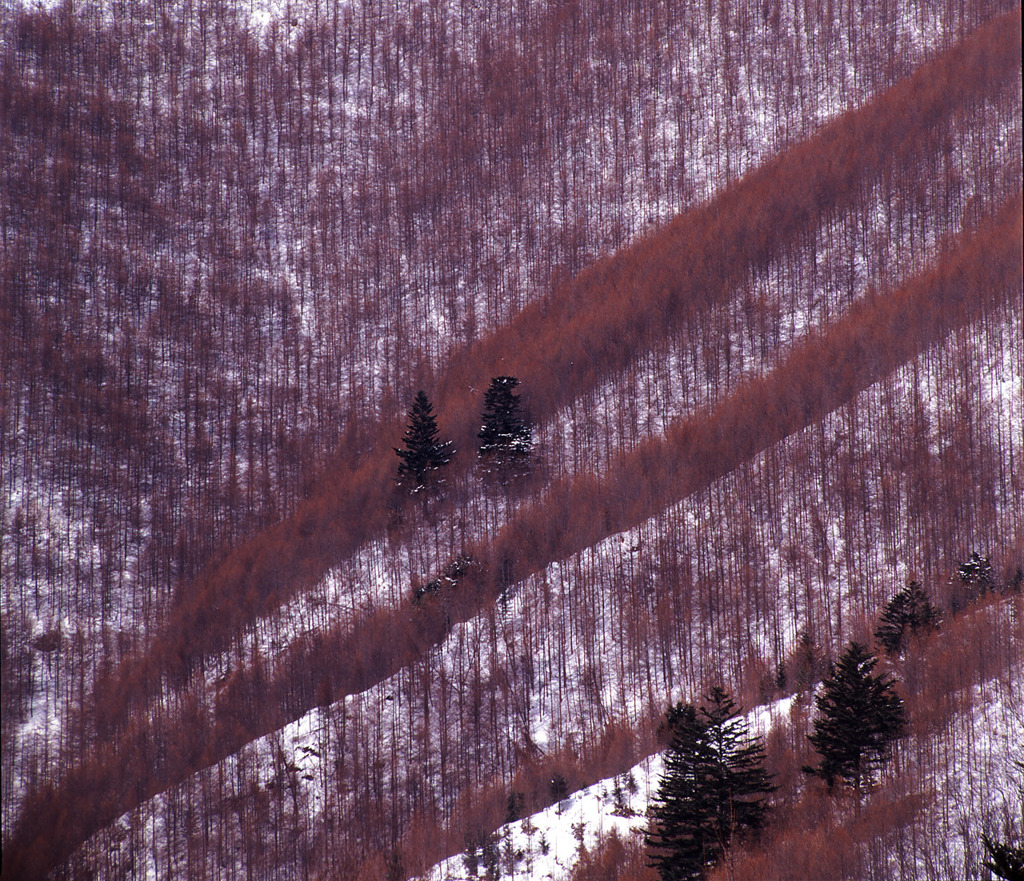 冬の山肌