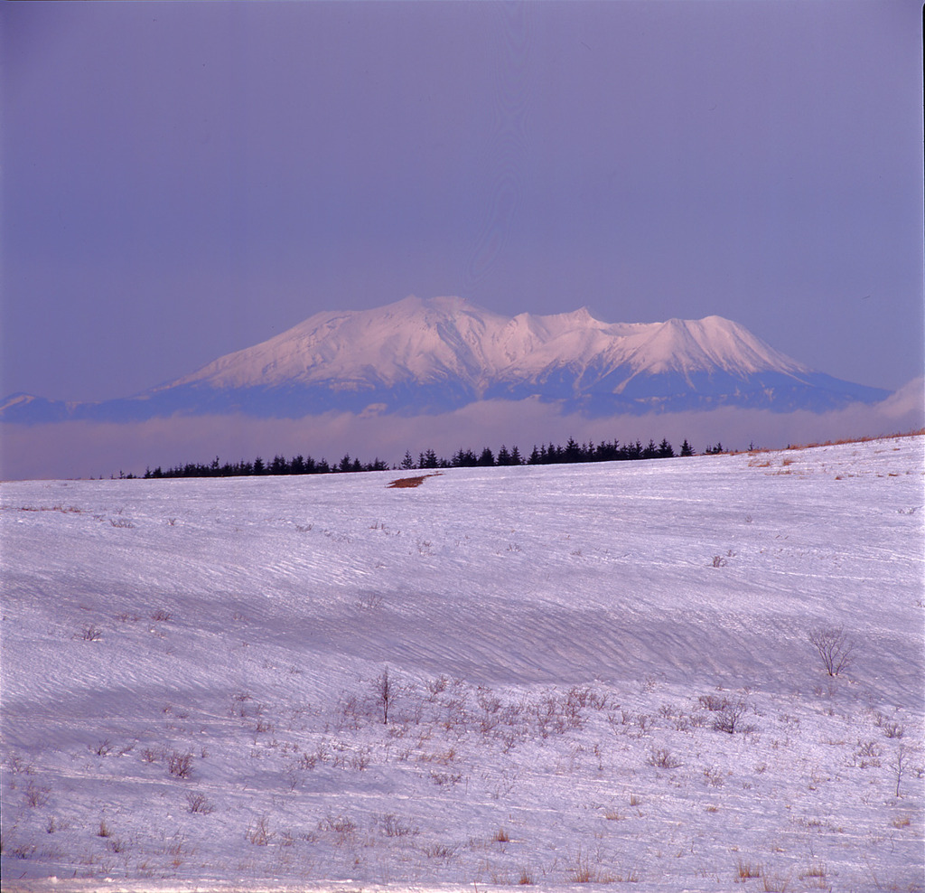 雪原に浮かぶ