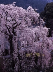04-3-30-身延山久遠寺