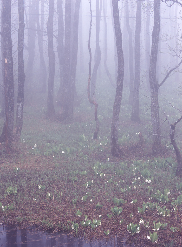 05-5-24-細野地区