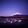 2009-1-16-マウント富士