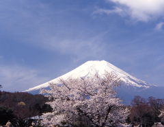 05-4-26-忍野