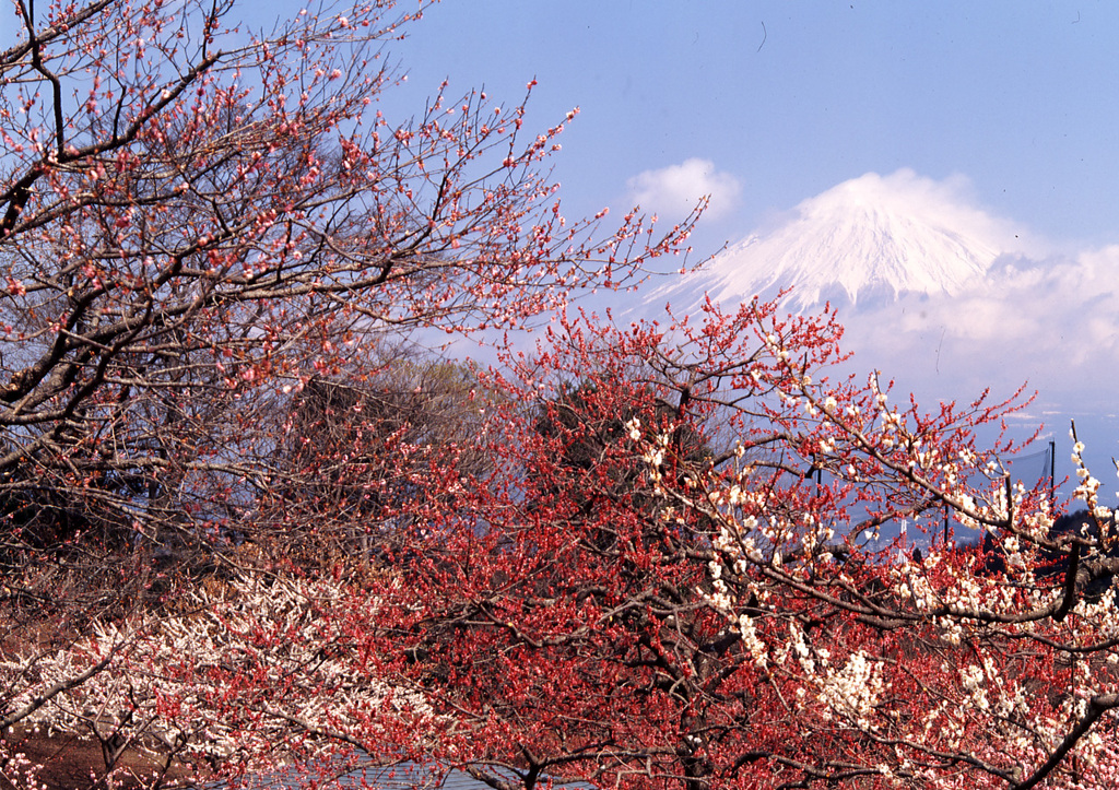 00-3-初旬-岩本山