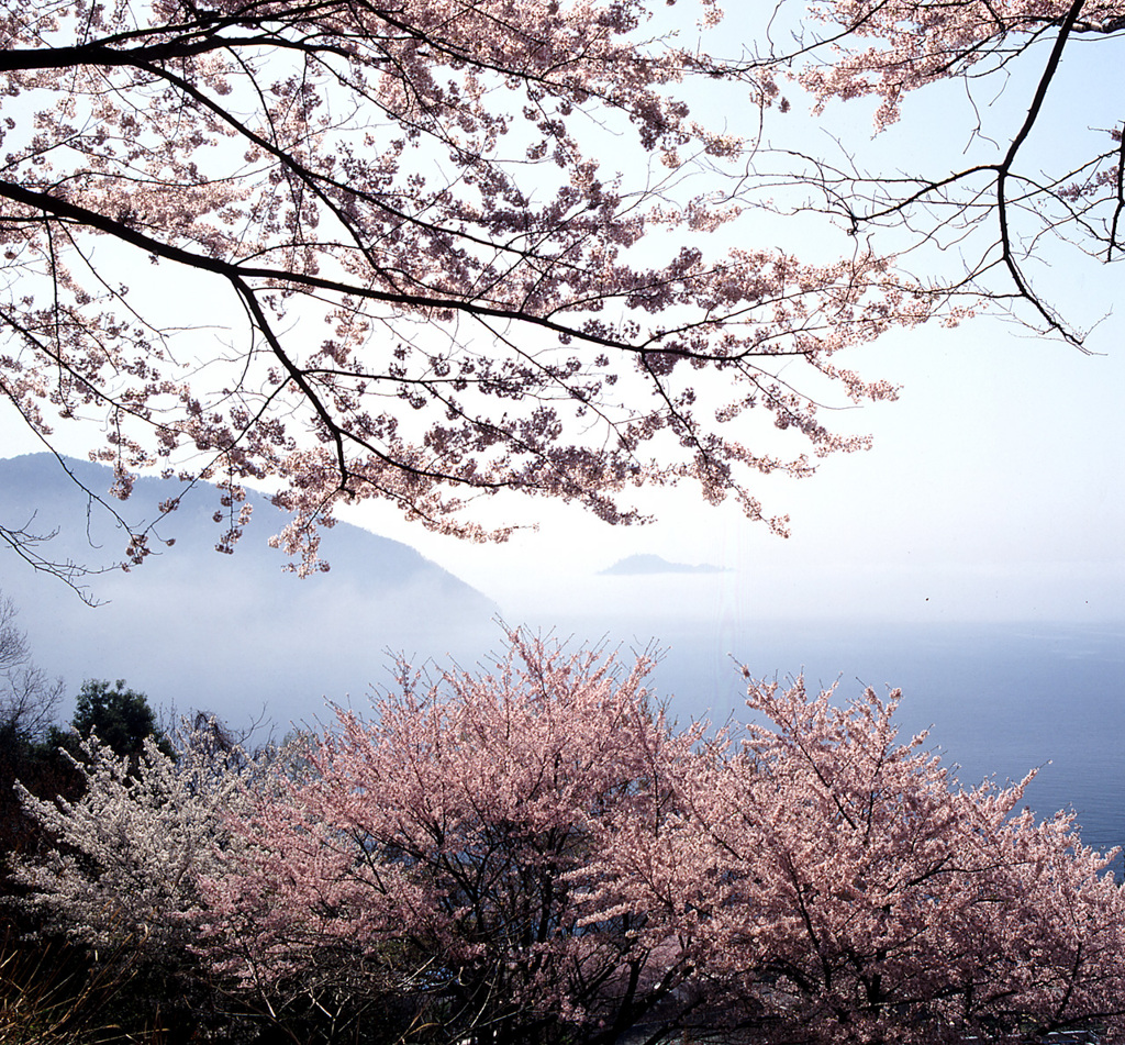 03-4-15-海津大崎.