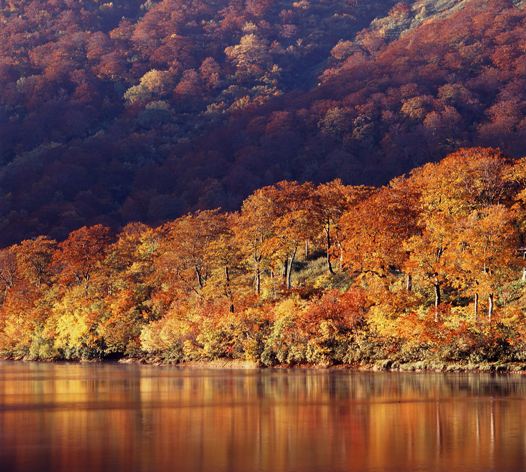 00-10-20-栗駒山