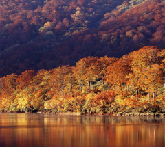 00-10-20-栗駒山