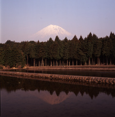 96-4-20上井出